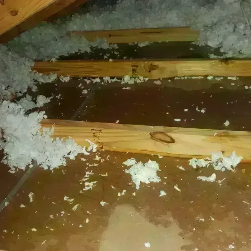 Attic Water Damage in Kendall County, IL