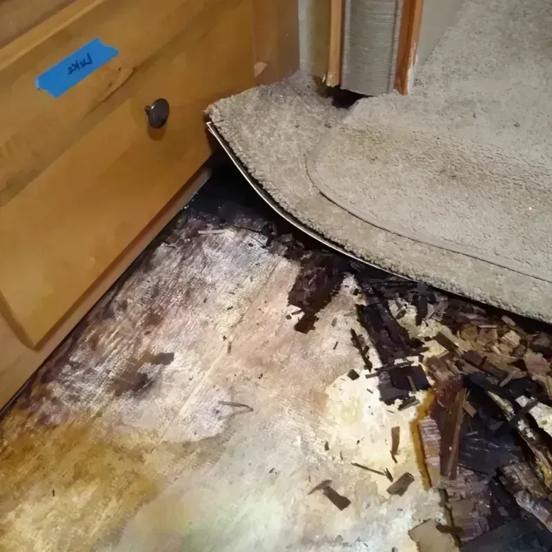 Wood Floor Water Damage in Kendall County, IL